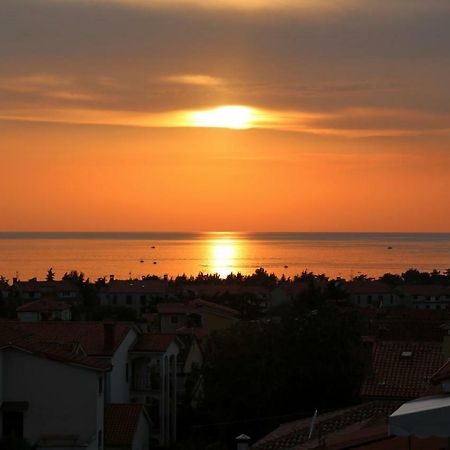Apartment Panorama Poreč Eksteriør billede